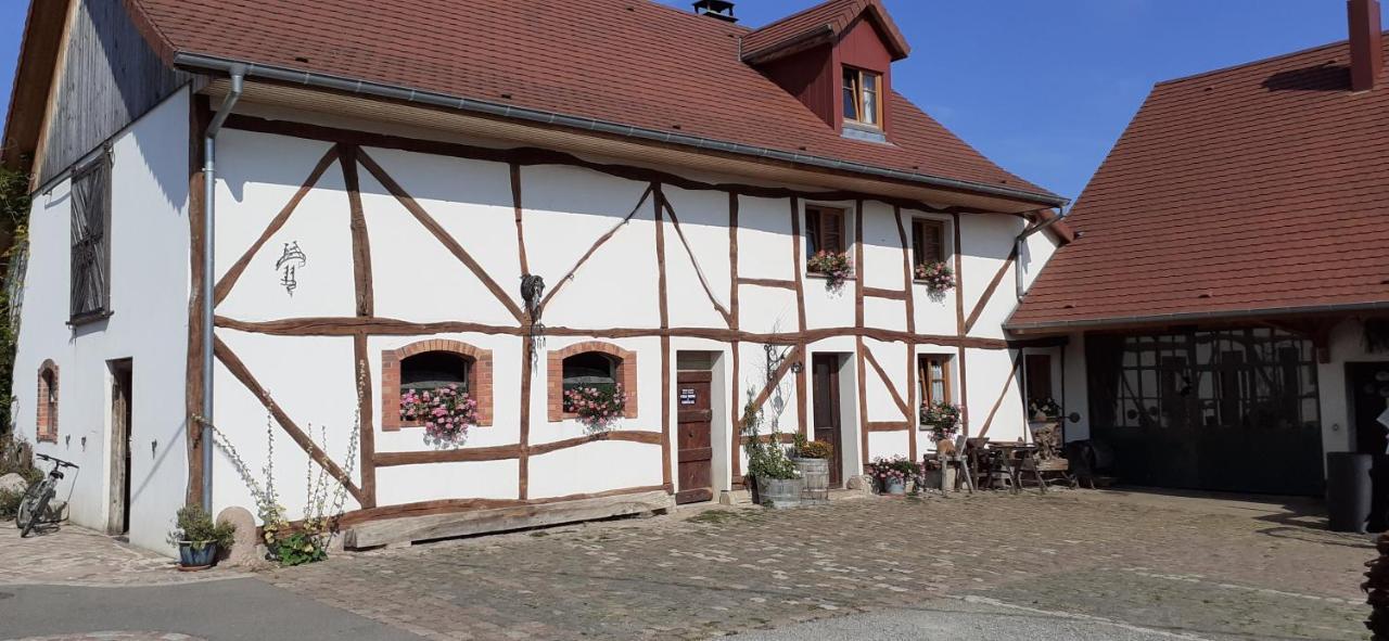 Aux 3 Marteaux Apartment Soppe-le-Haut Exterior photo